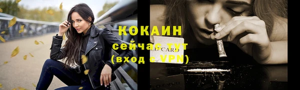 гашик Армянск