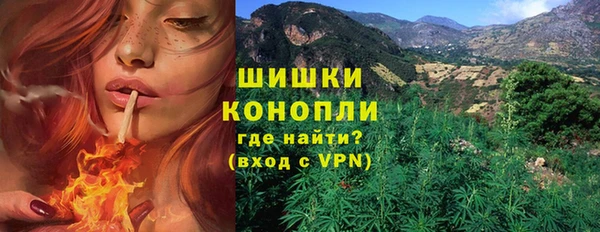 винт Аркадак