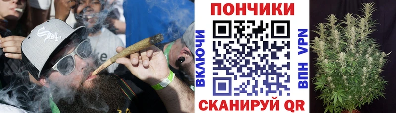 Шишки марихуана ГИДРОПОН  Можга 